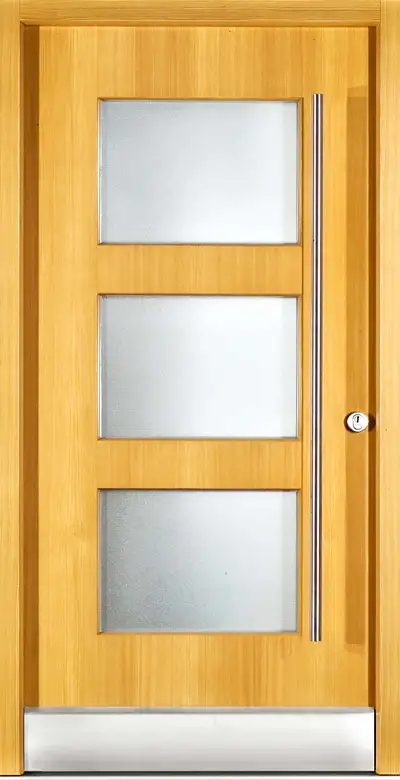Holzhaustüre H95